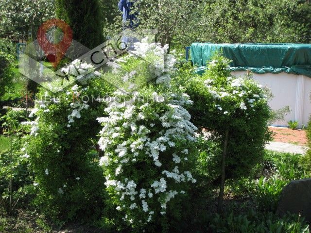 продажа дома участка, Ленинградская область, СНТ, договор купли-продажи